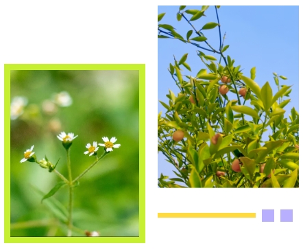 抖圈-为du而生官网入口