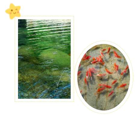 抖圈-为du而生官网入口