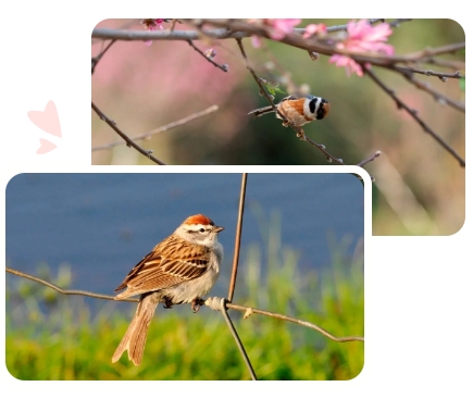 抖圈-为du而生官网入口