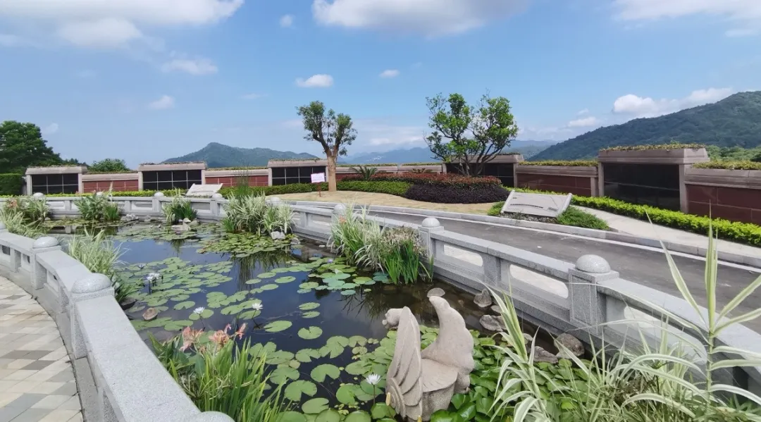 抖圈-为du而生官网入口