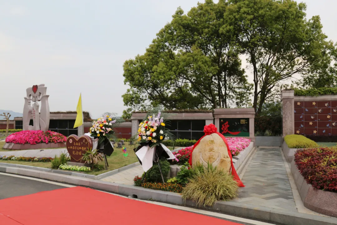 抖圈-为du而生官网入口