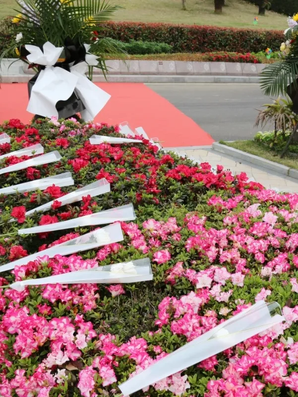 抖圈-为du而生官网入口