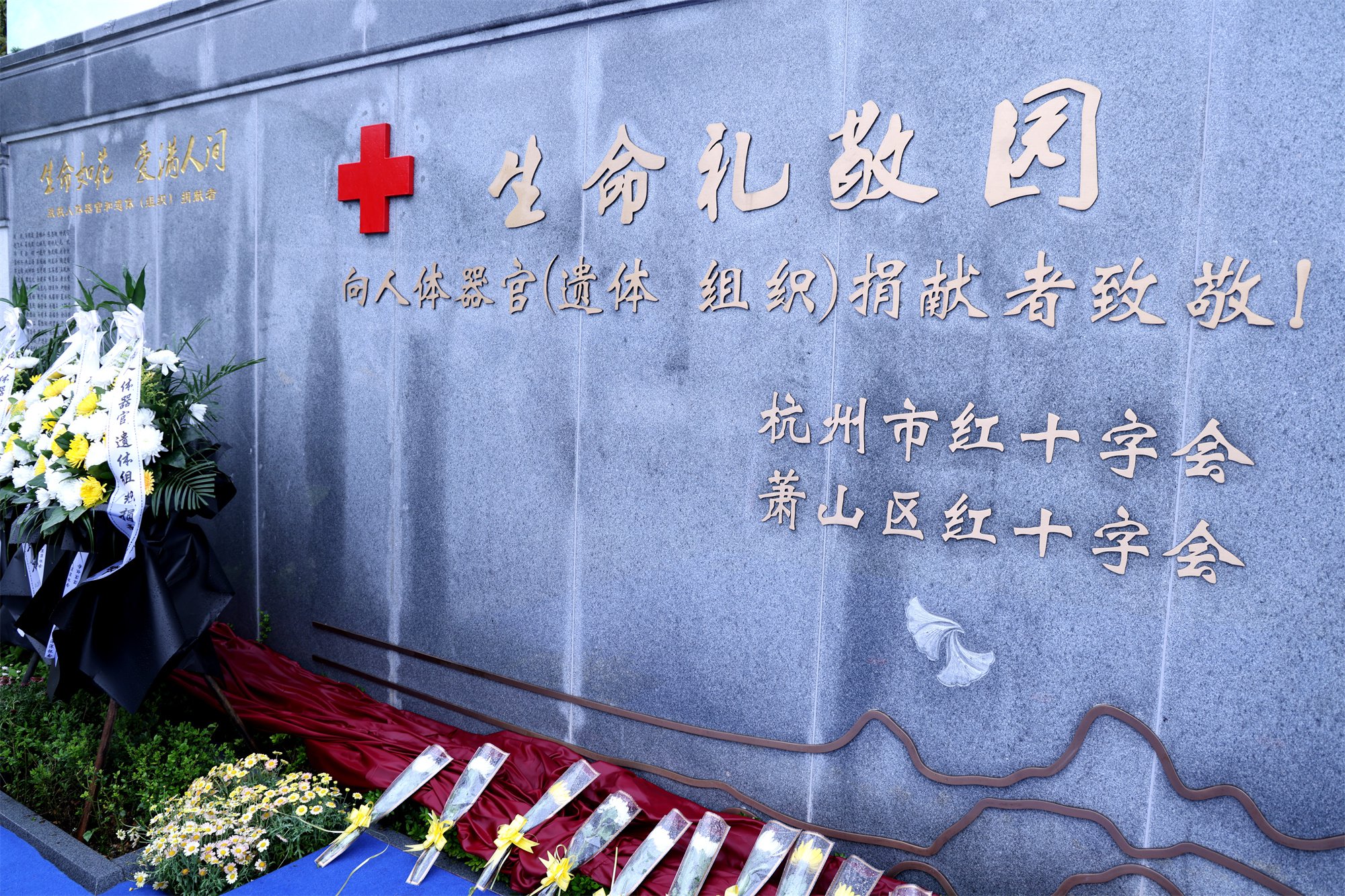 抖圈-为du而生官网入口