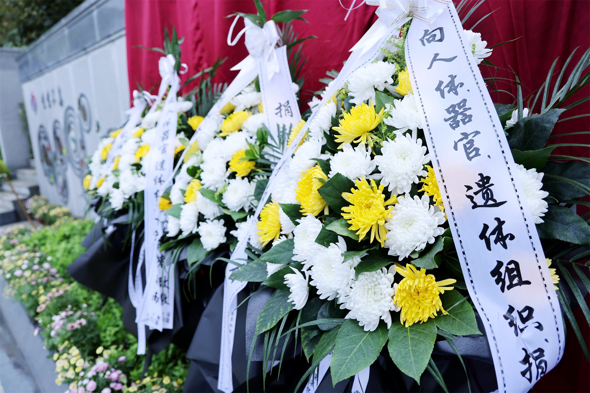 抖圈-为du而生官网入口