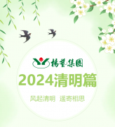 风起清明 遥寄相思|抖圈集团?2024清明篇