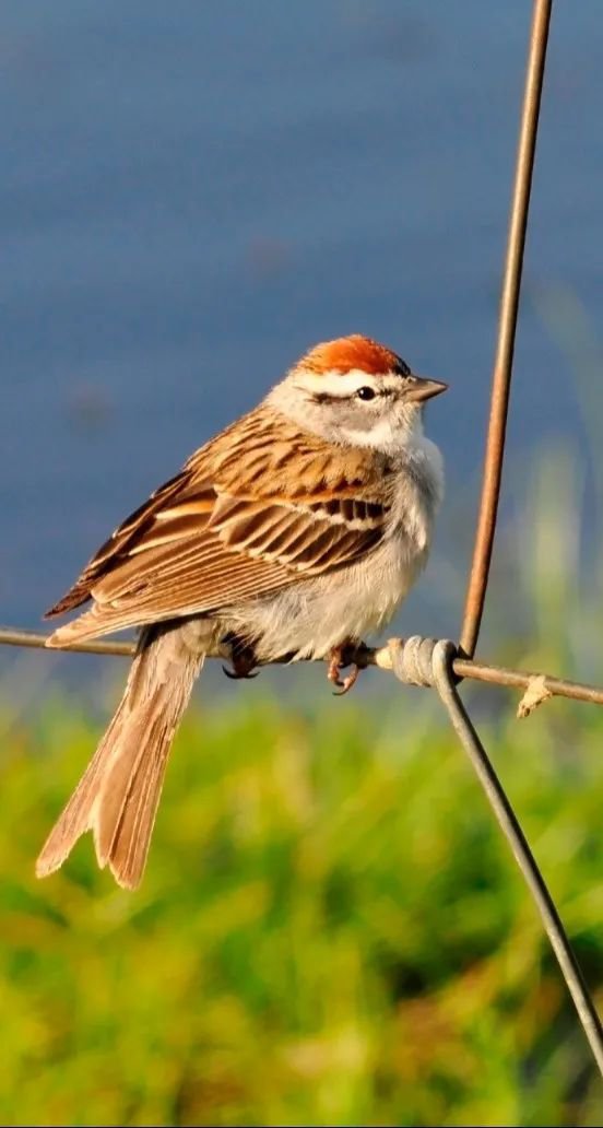 抖圈-为du而生官网入口