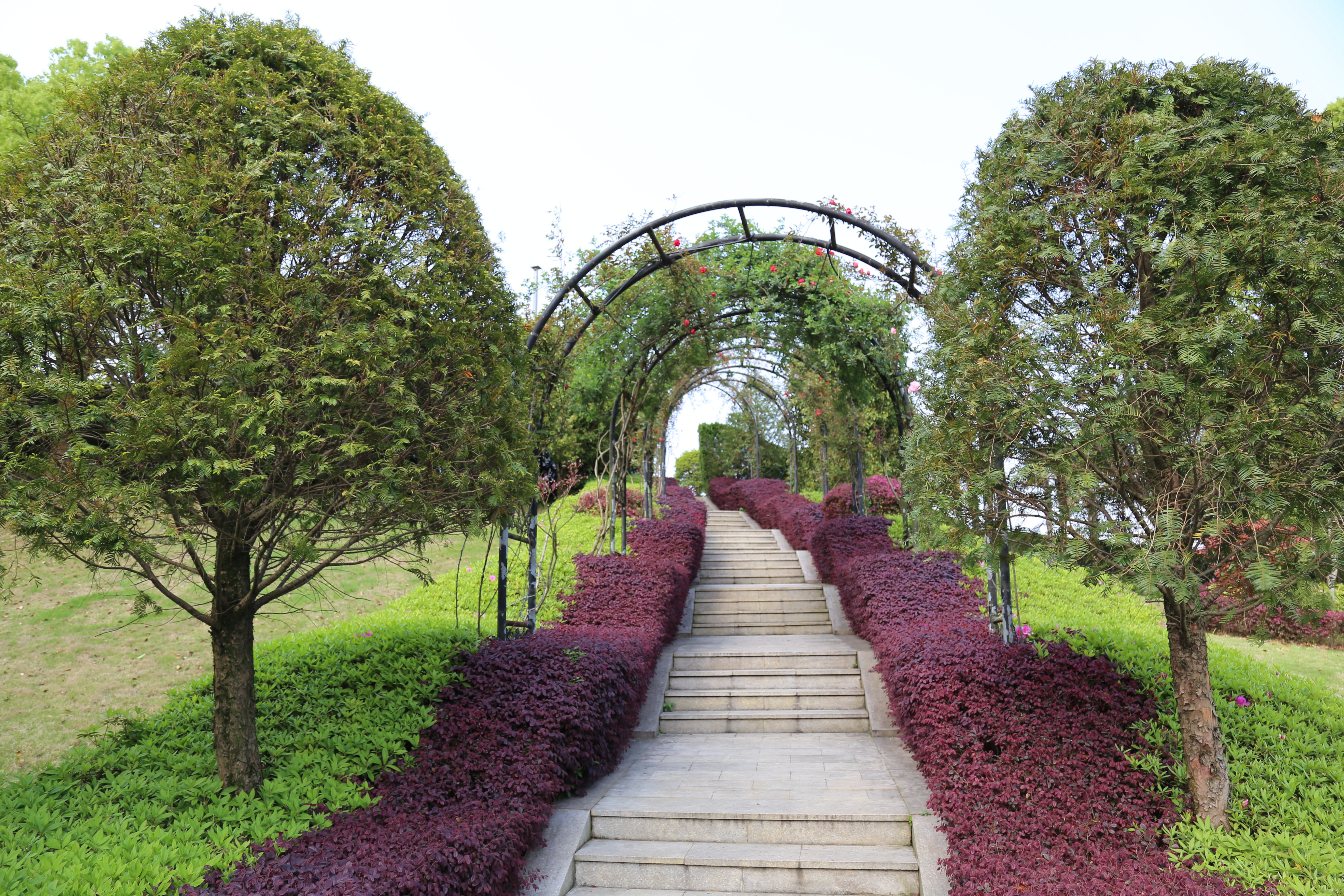 抖圈-为du而生官网入口