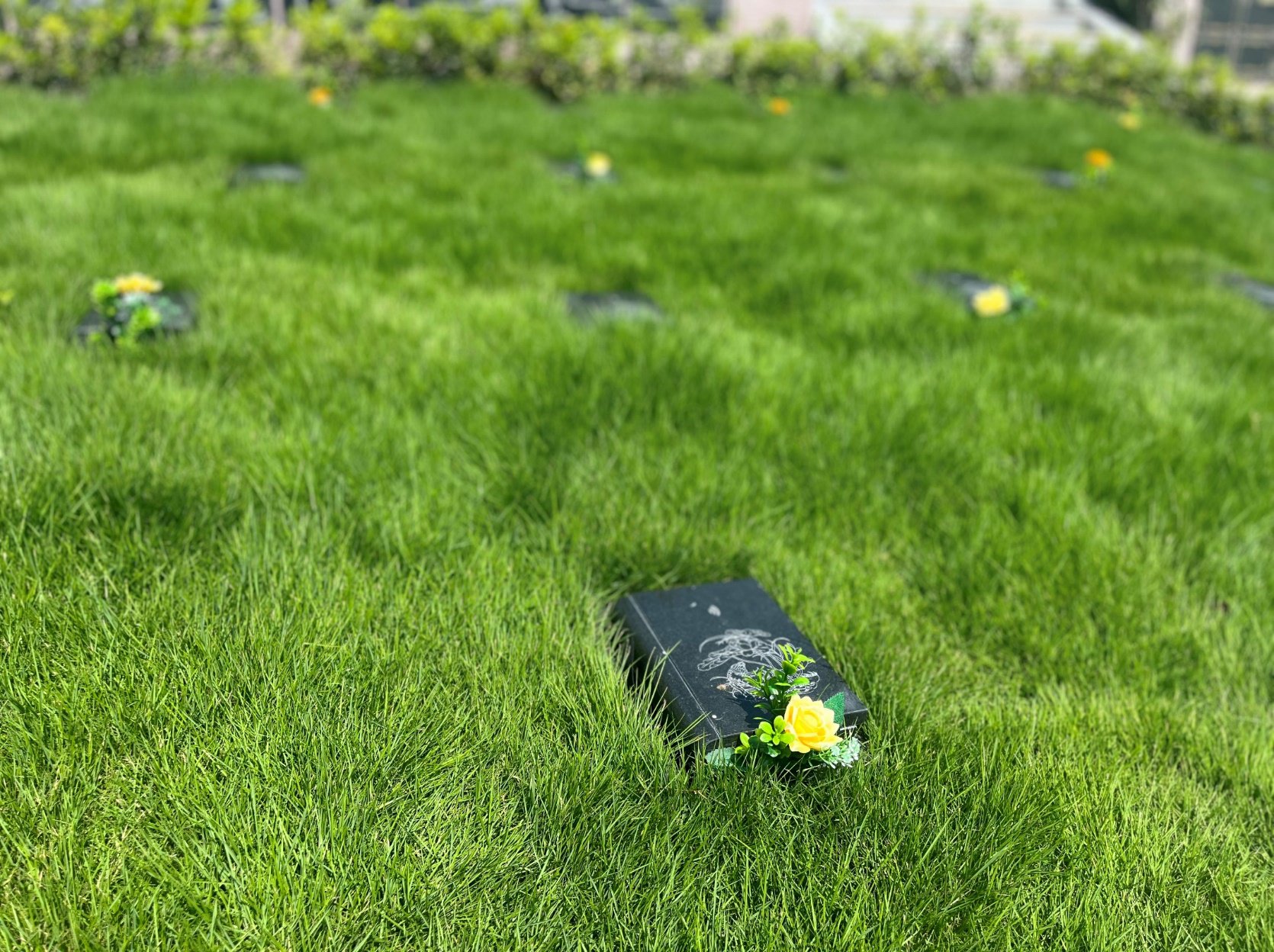 抖圈-为du而生官网入口