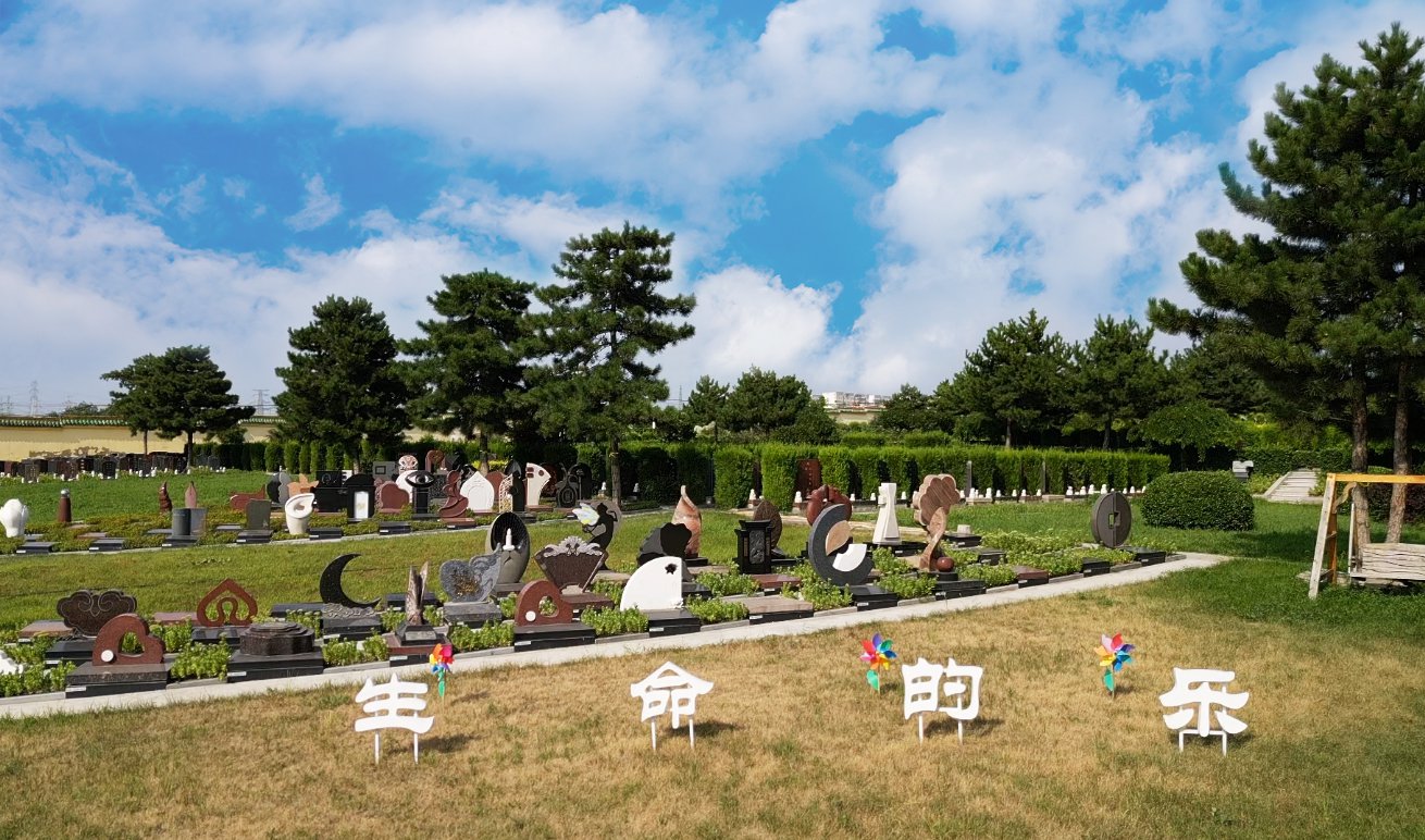 共赢之道：抖圈集团BOT相助模式的优势与效益剖析