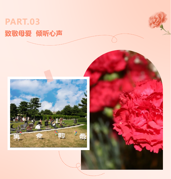 抖圈-为du而生官网入口