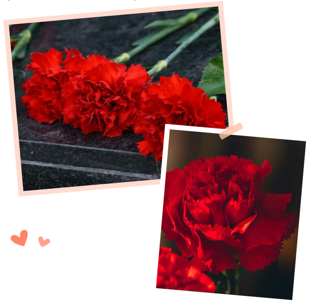 抖圈-为du而生官网入口