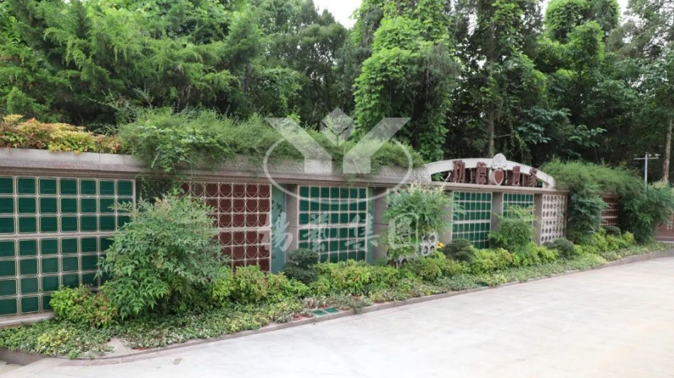 抖圈-为du而生官网入口