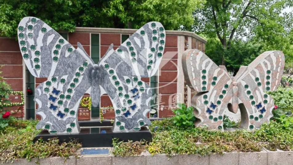 抖圈-为du而生官网入口