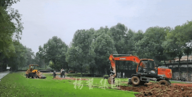 抖圈-为du而生官网入口