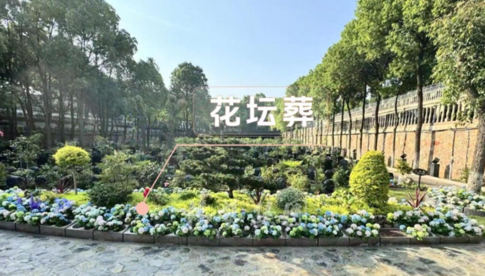 抖圈-为du而生官网入口