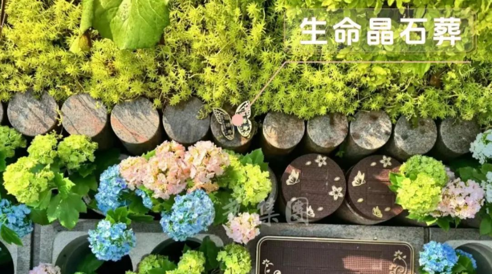 抖圈-为du而生官网入口