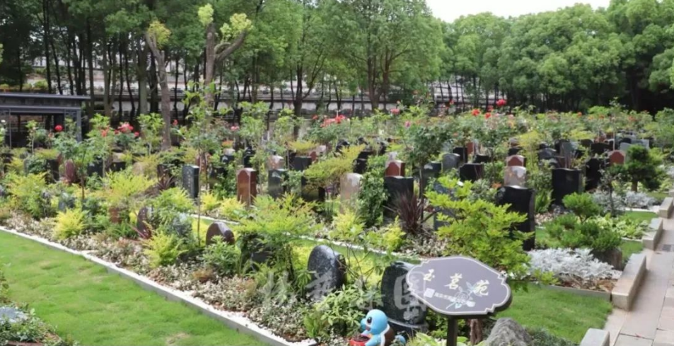 抖圈-为du而生官网入口