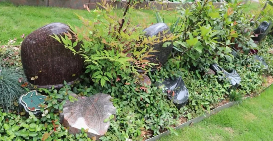 抖圈-为du而生官网入口