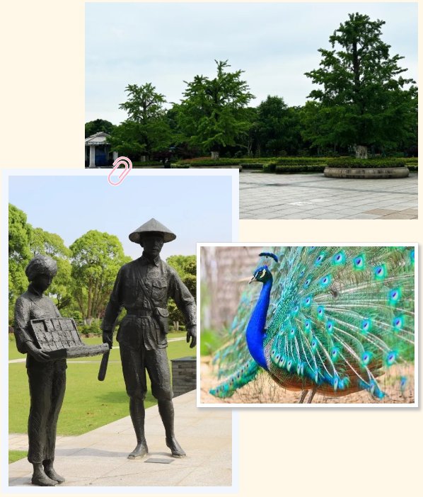 抖圈-为du而生官网入口