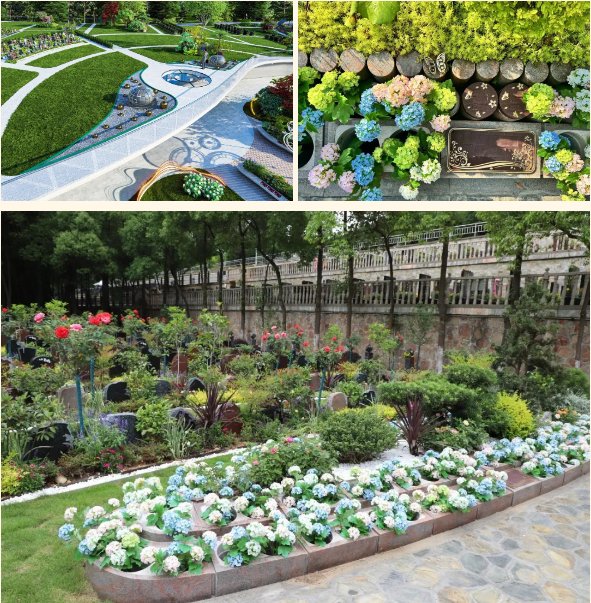 抖圈-为du而生官网入口