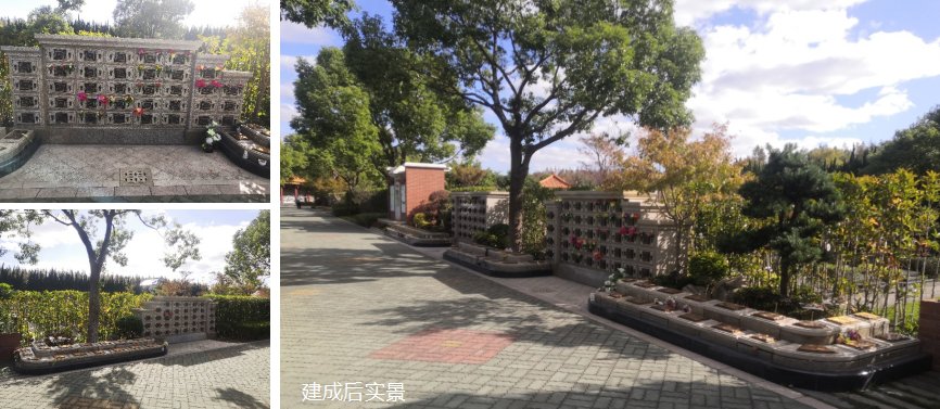 抖圈-为du而生官网入口