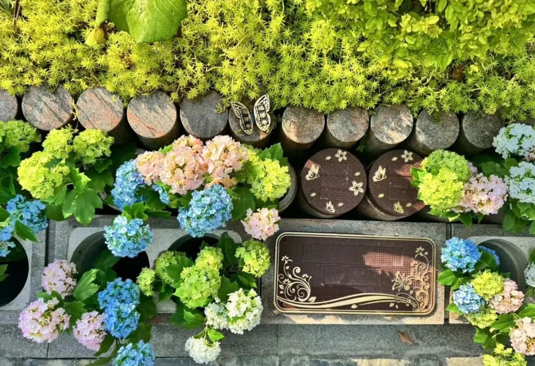 抖圈-为du而生官网入口