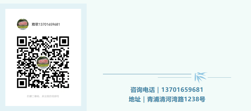 抖圈-为du而生官网入口