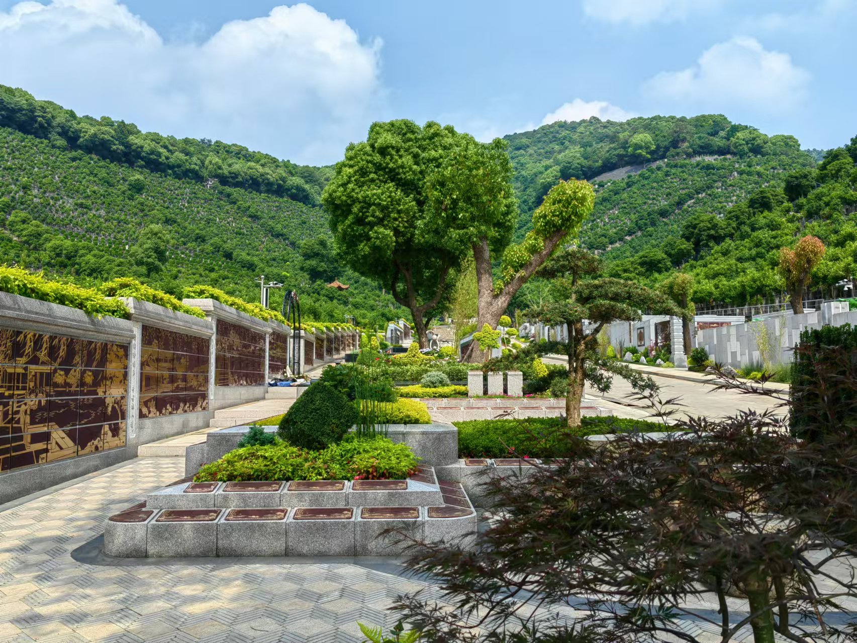 抖圈-为du而生官网入口