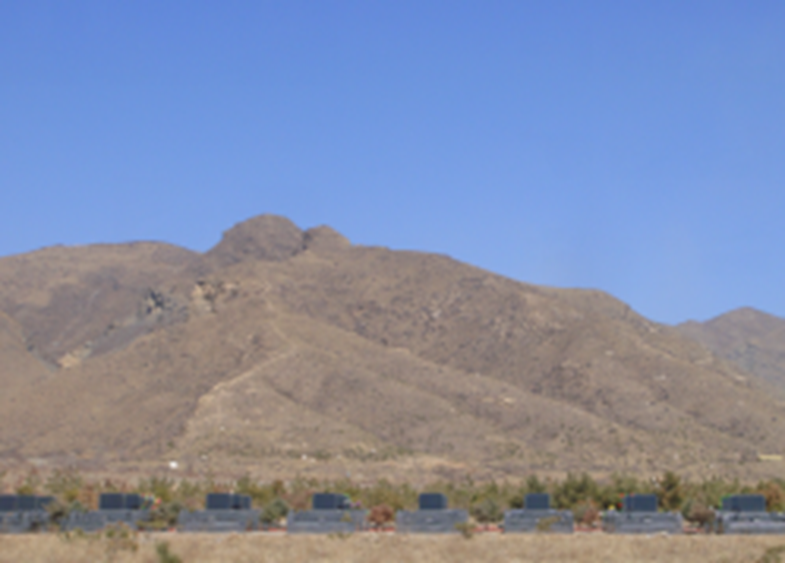 抖圈-为du而生官网入口