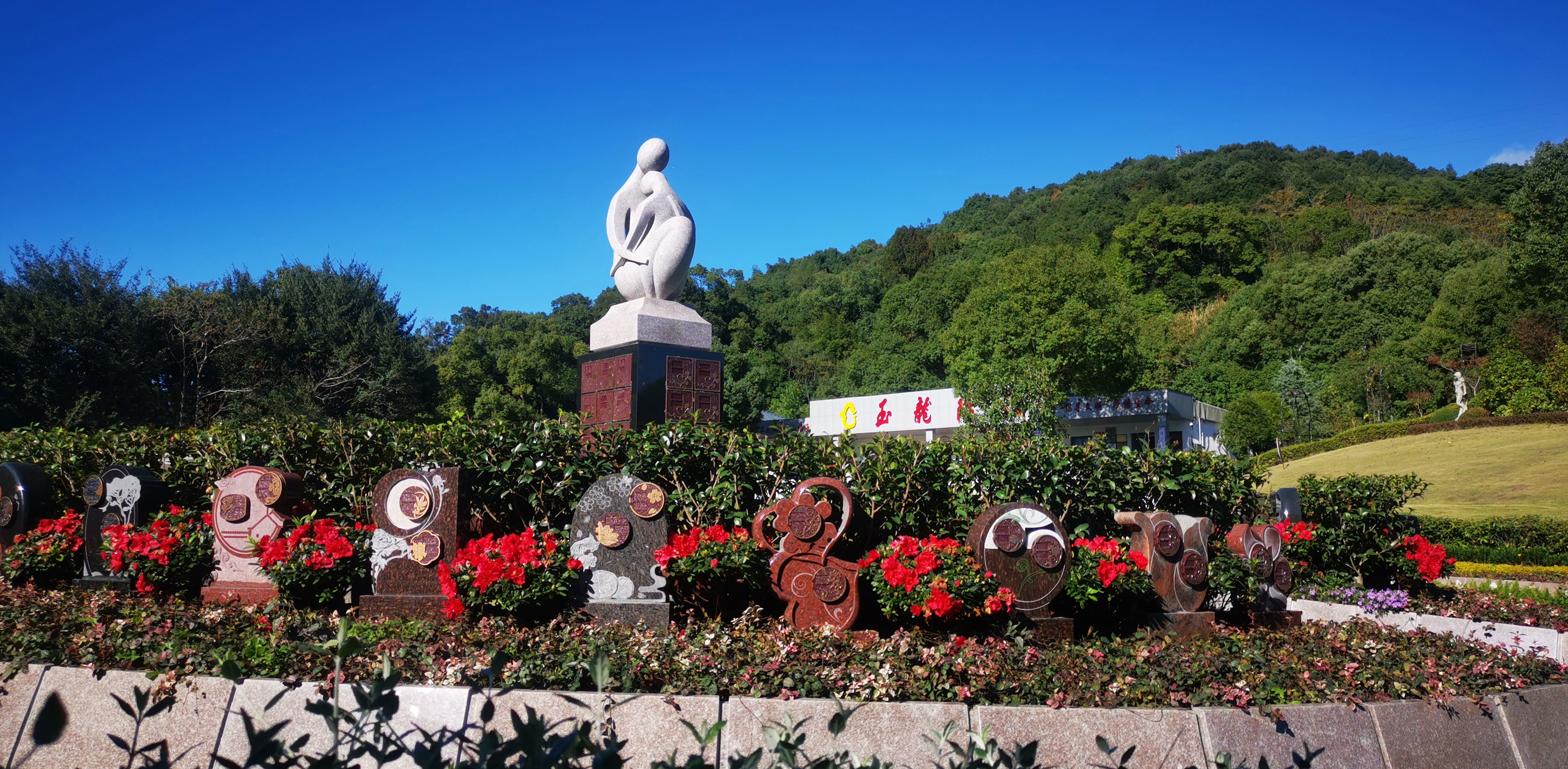 抖圈-为du而生官网入口