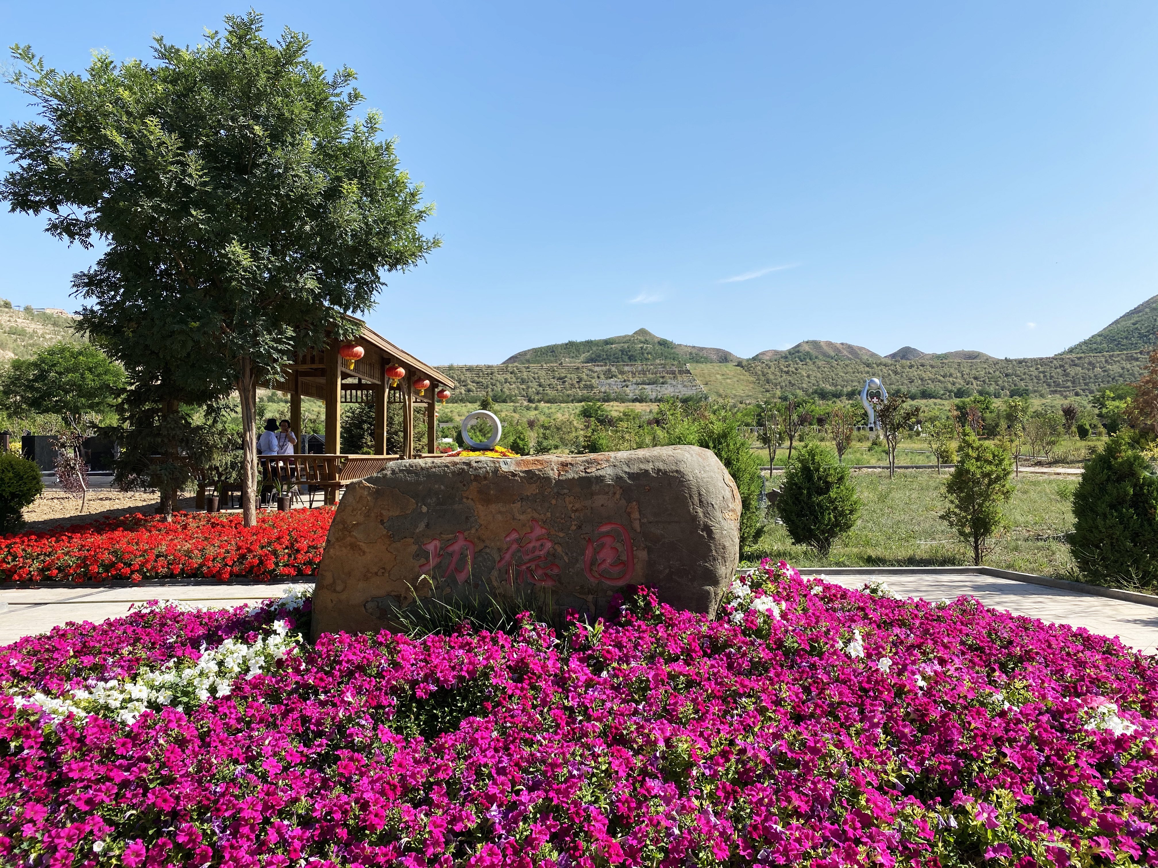 抖圈-为du而生官网入口