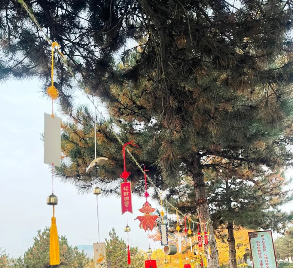 抖圈-为du而生官网入口