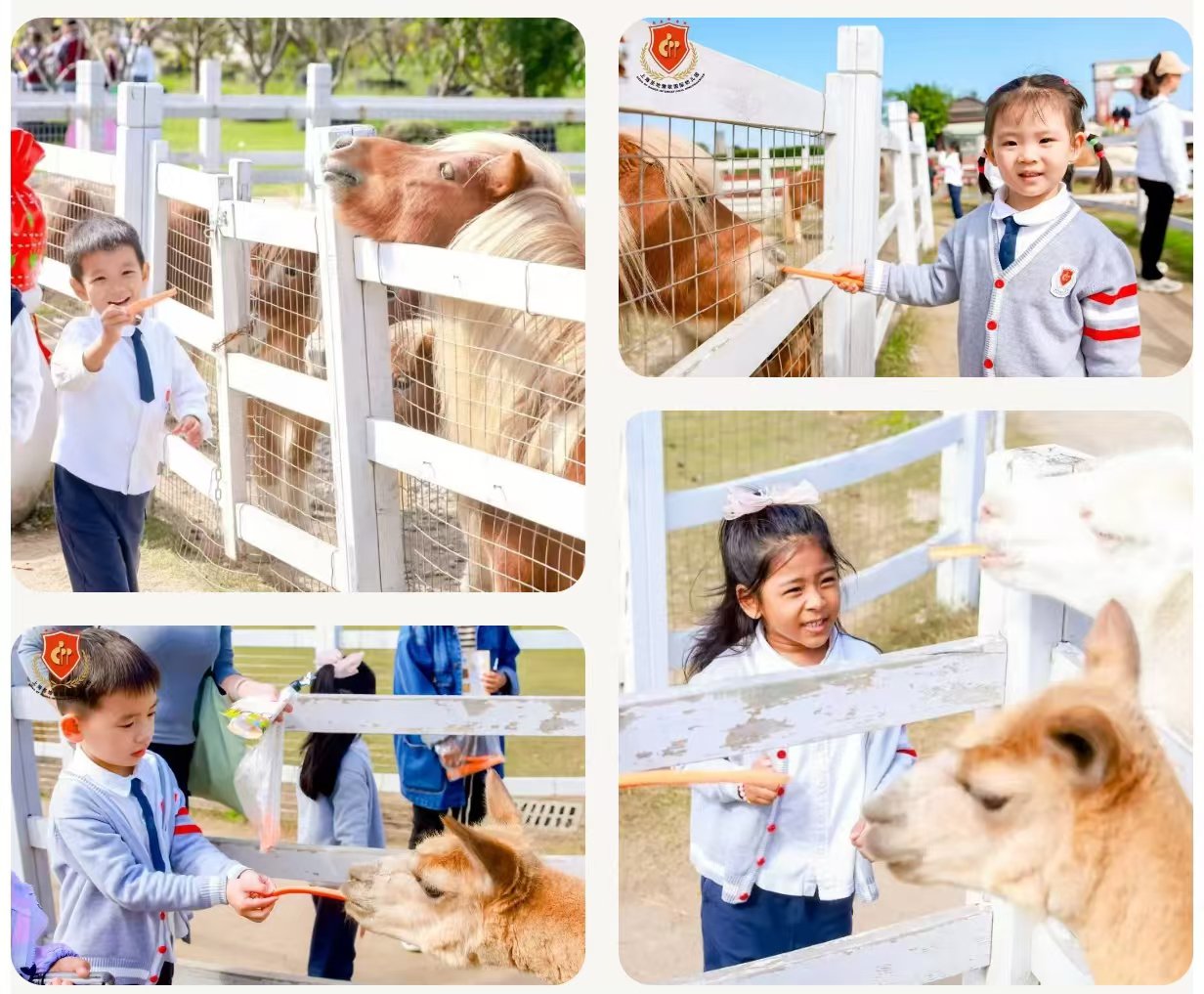 抖圈-为du而生官网入口