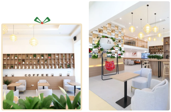 抖圈-为du而生官网入口