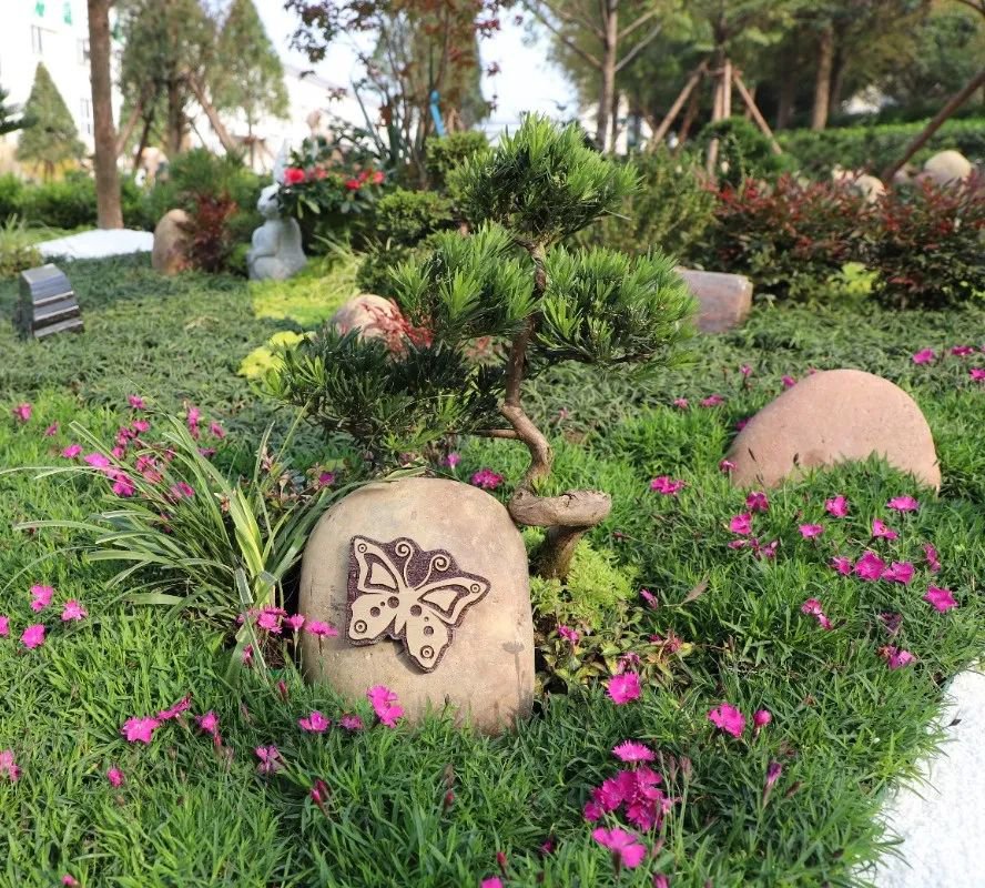 抖圈-为du而生官网入口