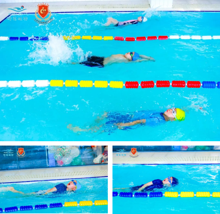 抖圈-为du而生官网入口