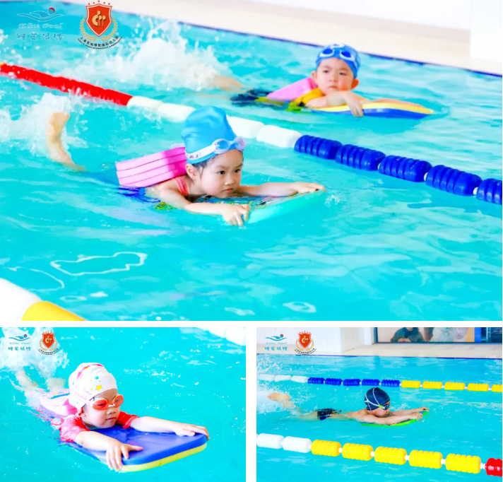 抖圈-为du而生官网入口