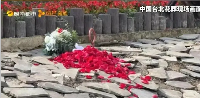 抖圈-为du而生官网入口