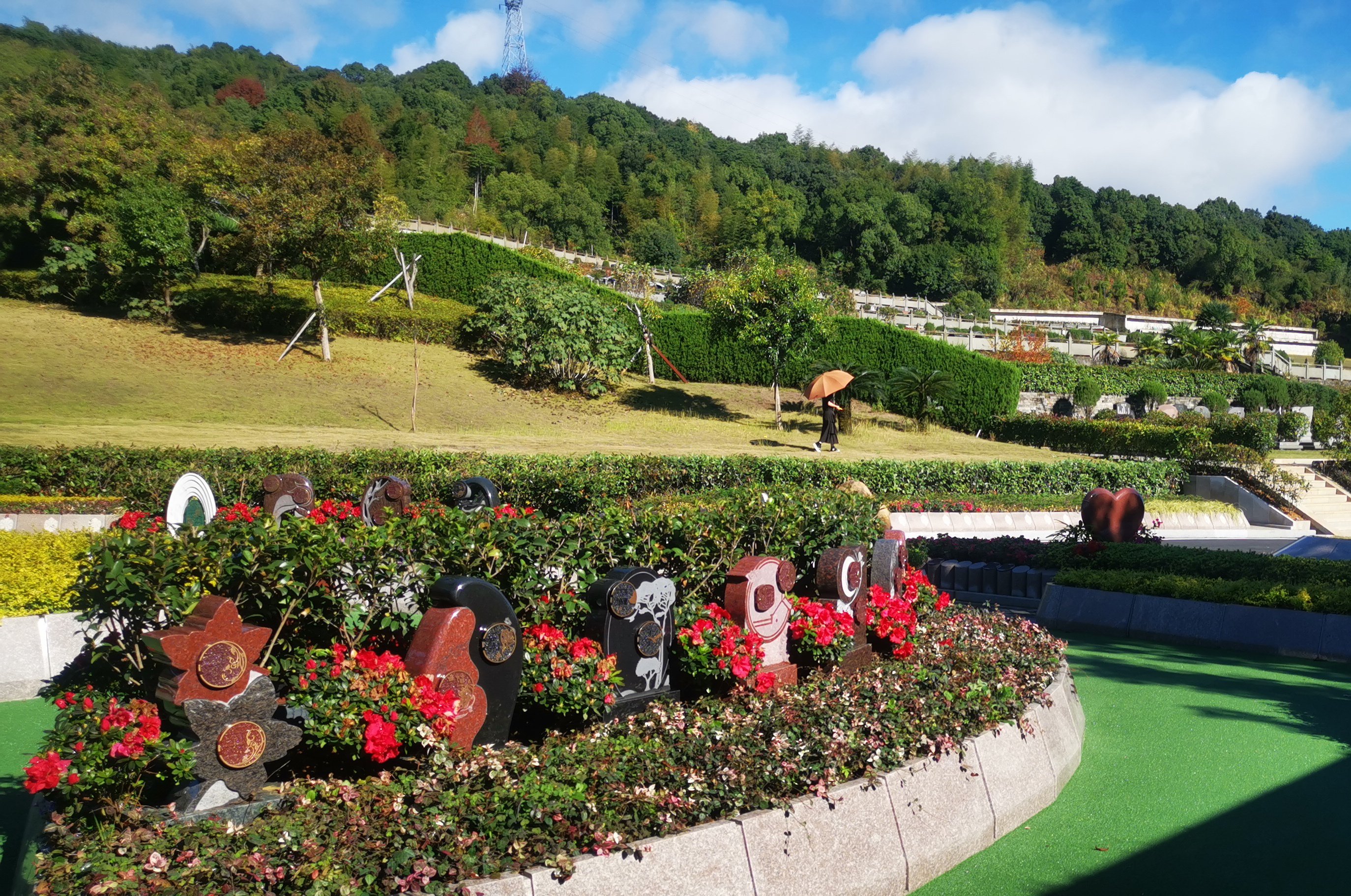 抖圈-为du而生官网入口