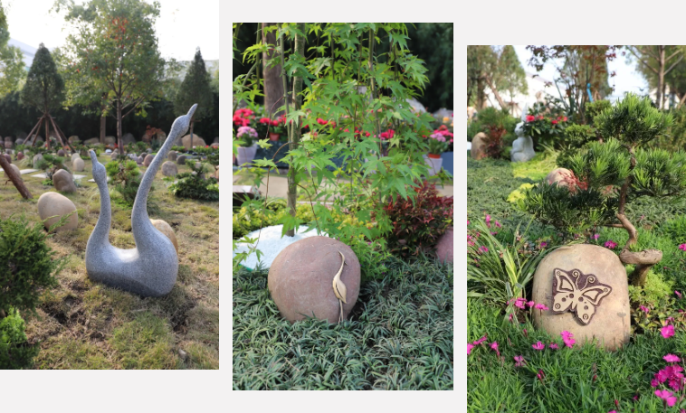 抖圈-为du而生官网入口