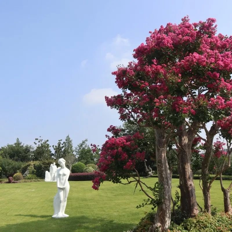 抖圈-为du而生官网入口