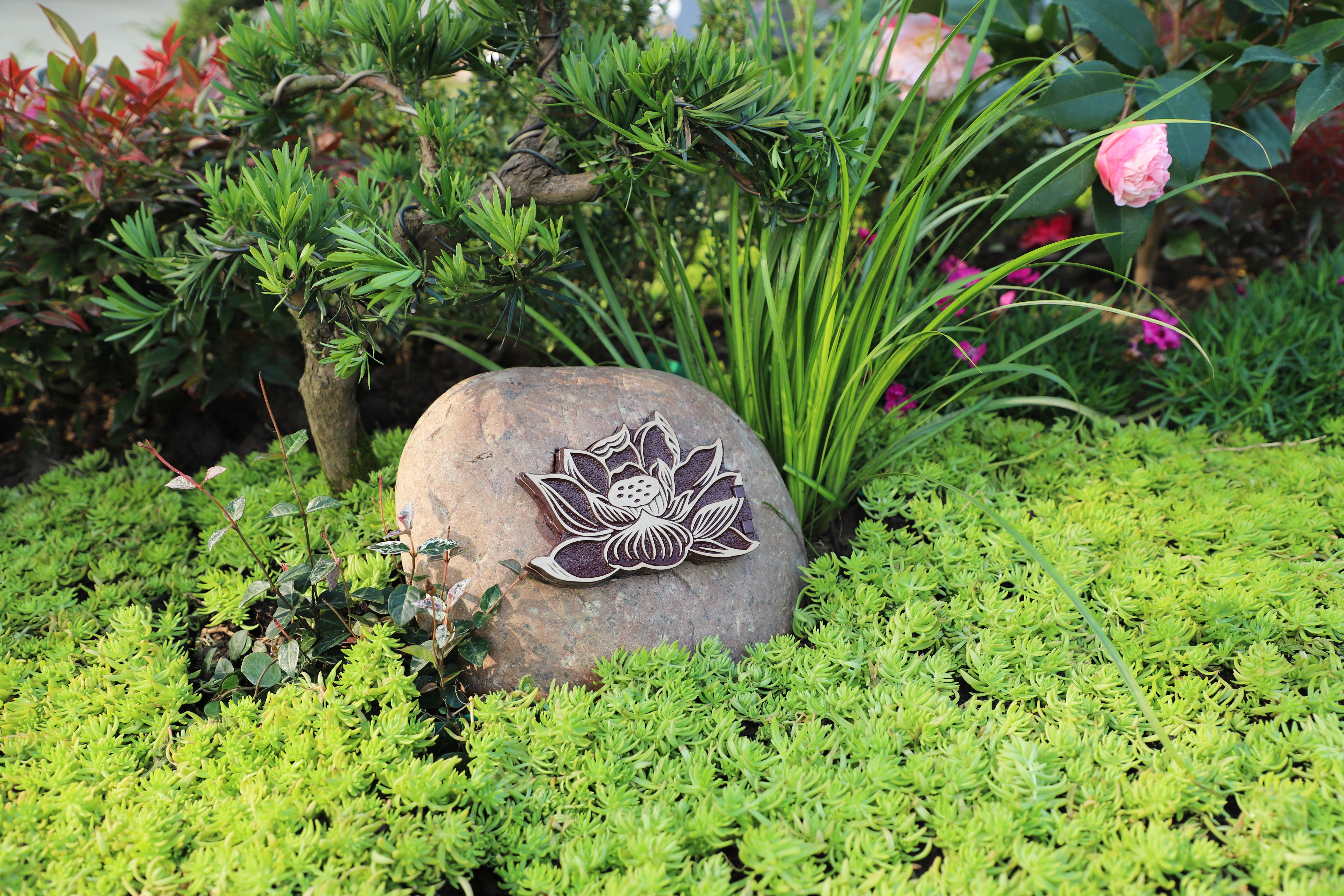 抖圈-为du而生官网入口