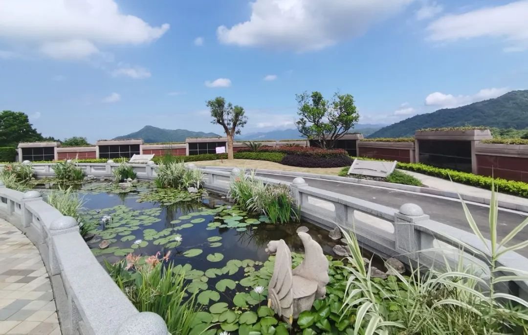 抖圈-为du而生官网入口