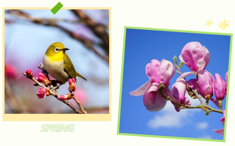 抖圈-为du而生官网入口