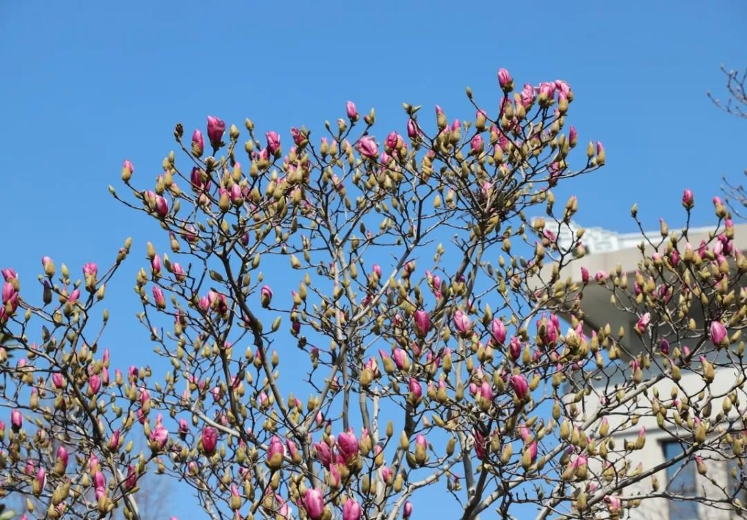 抖圈-为du而生官网入口