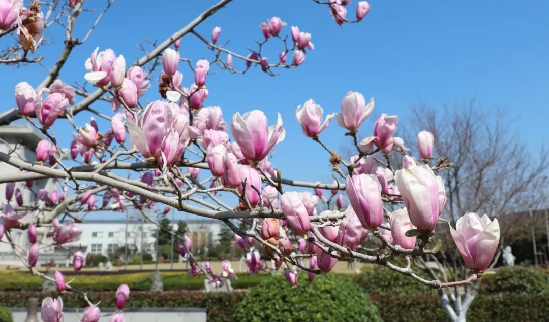 抖圈-为du而生官网入口