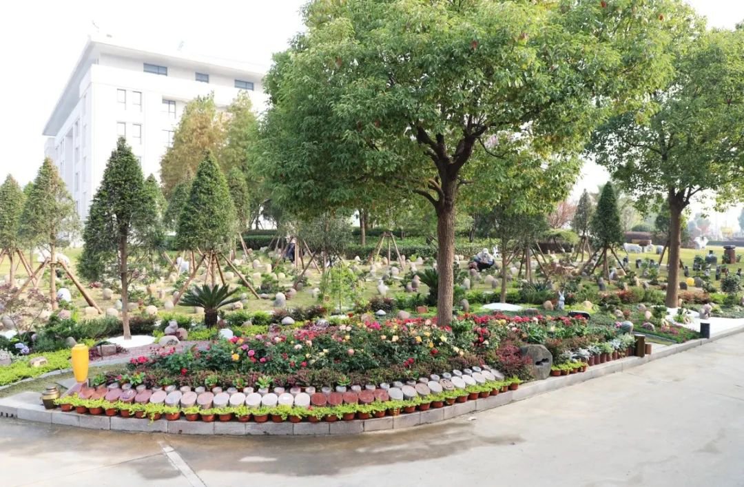 抖圈-为du而生官网入口