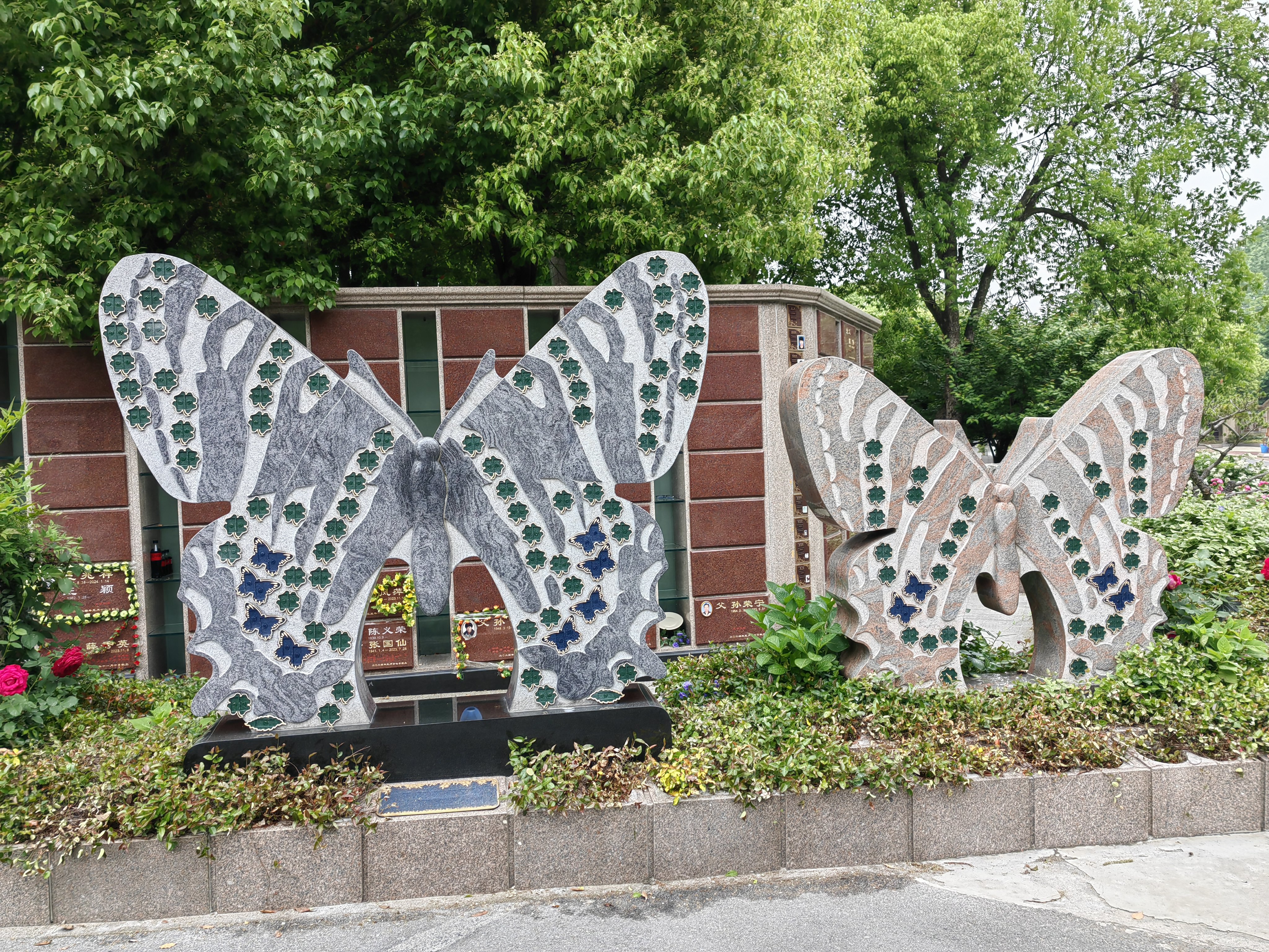 抖圈-为du而生官网入口