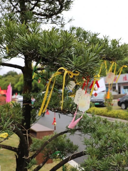 抖圈-为du而生官网入口