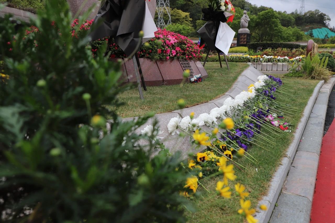 抖圈-为du而生官网入口